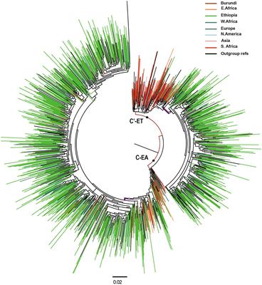 Molecular Epidemiology and Transmission Dynamics of the HIV-1 Epidemic in Ethiopia: Epidemic Decline Coincided With Behavioral Interventions Before ART Scale-Up